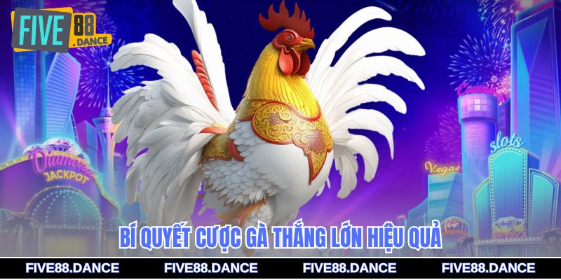 Bí quyết cược gà thắng lớn hiệu quả