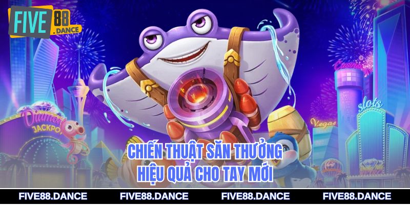 Chiến thuật săn thưởng hiệu quả cho tay mới